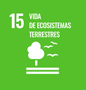 vida de ecosistemas biomatec