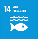 vida submarina biomatec